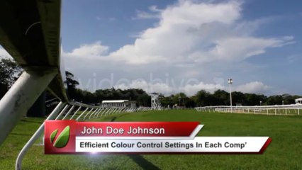 Lower Thirds Quad Pack - After Effects Template