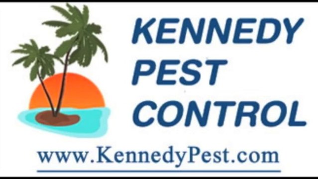 Pest Control San Diego CA 800-420-7378 | Termite Treatments