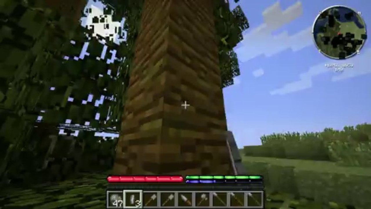 SpitNine sur TerraFirmaCraft Ep 01