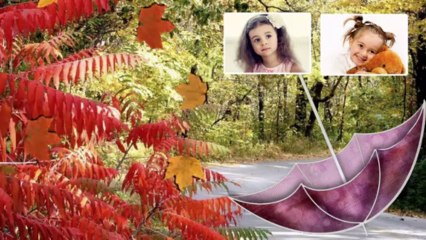 Работа я иду по лесу