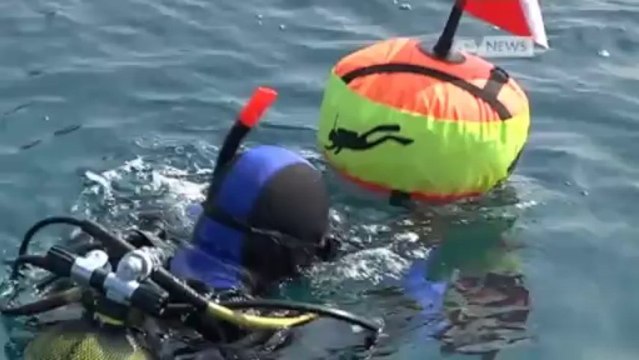 FONDALI MARINI, VERIFICHE ALLA VECCHIA DIGA