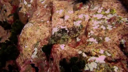 Aqua Tao - Ca se passe comme ça