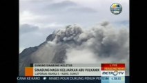 Mt. Sinabung forces thousands to flee