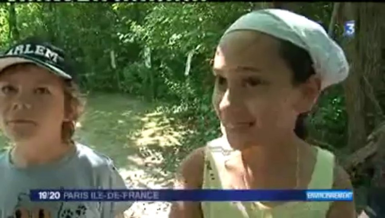 France 3 Paris-IDF - 19/20 - IDF 15 août 2013 - La nature dans les parcs du 93