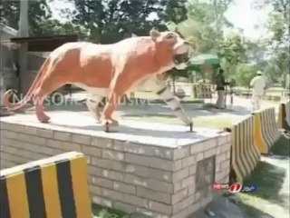 Mian Nawaz Sharif’s PMLN_ The real Land Mafia of Punjab. - by jaaweedalikhan