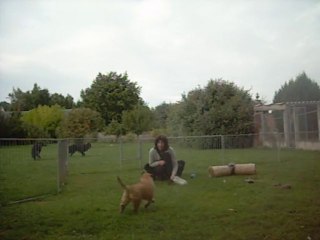 15 septembre 2013 (4) : un peu de bruit