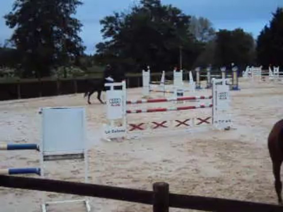 Parcours concours 120/125 Schorpioen kwpn hongre 14 ans