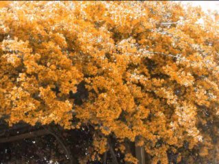 Oscar Harris & Alta Gracia & Ben