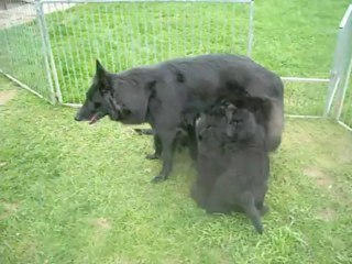 15 septembre 2013 (6) : fin de tétée (Irpa dort toujours)