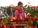 Globo Rural 15-9-13 Domingo