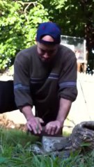 breaking a brick