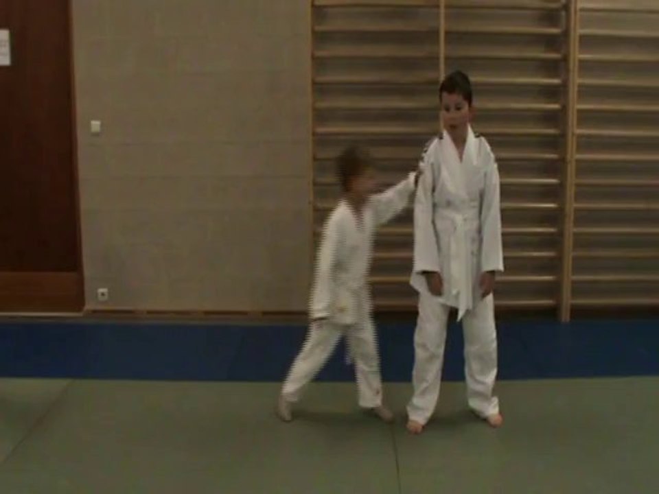 Yoko kata oshi
