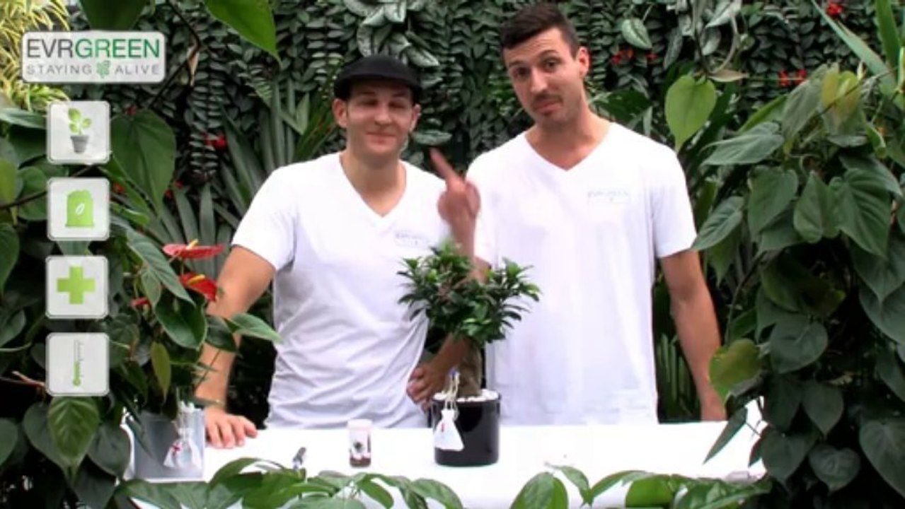 der grüne Daumen in 60 Sekunden