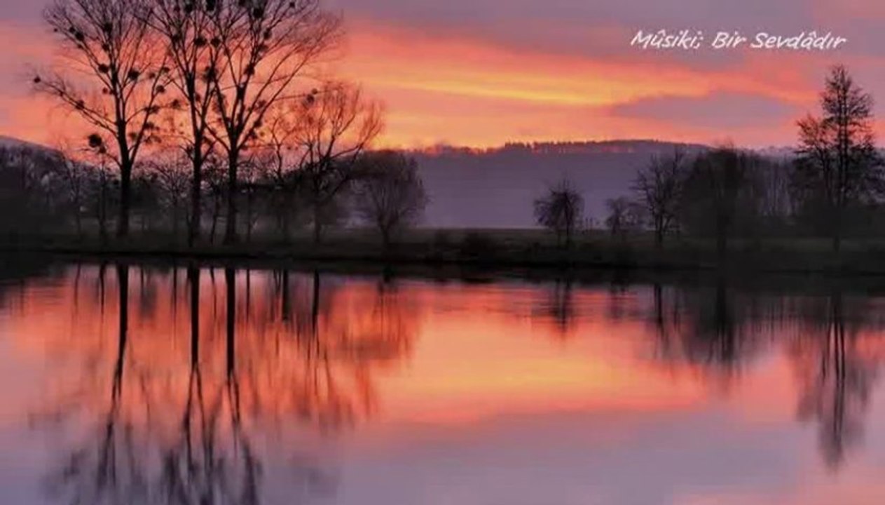 Ulviye Taşkent  - - Unutmadım seni ben her zaman kalbimdesin