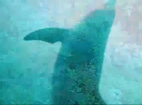 Günlük kiralık daire ev 05426834113 kadıköy sahibinden anadolu istanbul apart daireler pansiyon otel rezidans stüdyo günlük evler daireler kadıköy sahibinde günlük kiralık daireler ev sahibinden