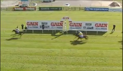 15.09.2013 Curragh (IRL) 5.Race GAIN Irish St. Leger 2013 - Group I 2.816 m