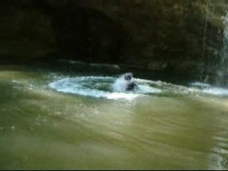 saut cascade herisson