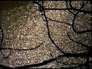 Sacred water of the holy river Ganges