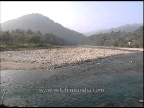 Visitor enjoying at the Corbett National park