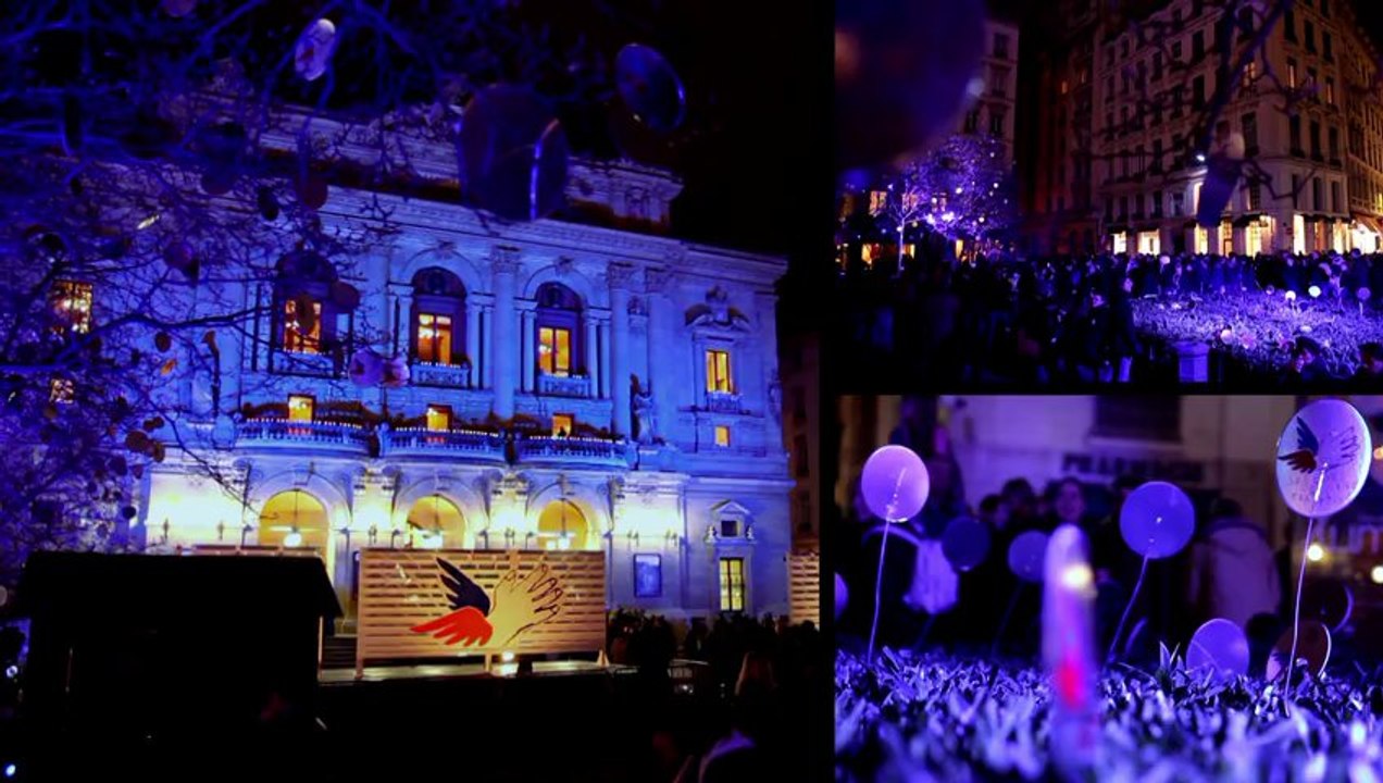 Fête des Lumières 2009