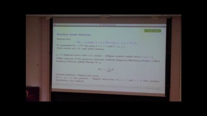 Quelques questions en matrices aléatoires_Sandrine Péché