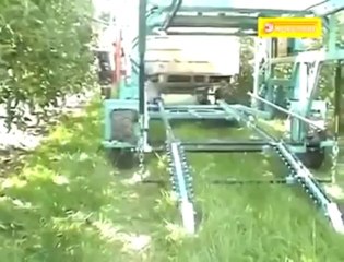 Real-Time Apple Harvesting 🍏