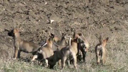 Be Aware F's - Going for adventures