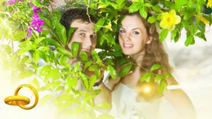 Wedding Intro - After Effects Template