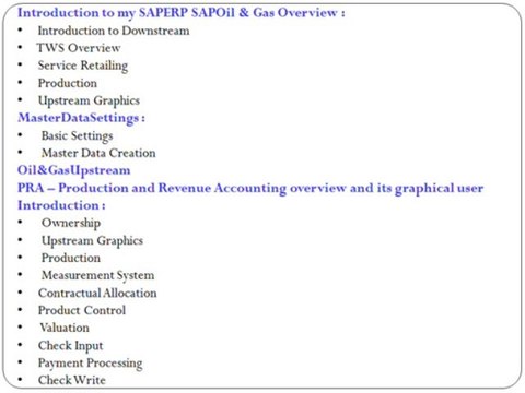 SAP IS OIL AND GAS TRAINING IN KOLKATA | MAGNIFIC TRAINING
