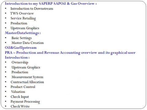 SAP IS OIL AND GAS TRAINING IN CHENNAI | MAGNIFIC TRAINING