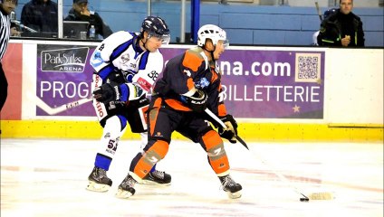 Les Scorpions de Mulhouse vs Vipers de Montpellier Le 21 Septembre 2013