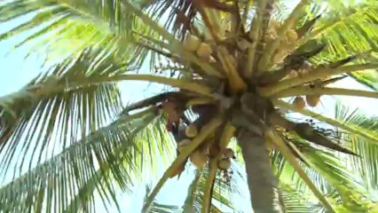 Interview Exclusive - Yoandri Hernandez Garrido - 24 fingers