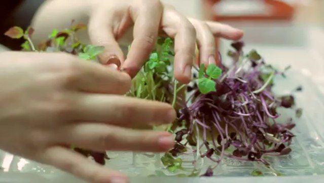 Auberge Nicolas Flamel