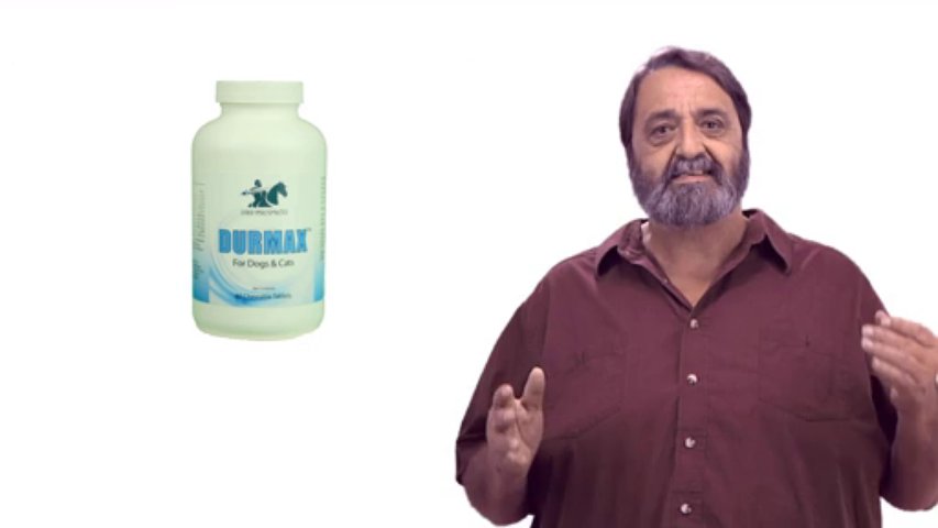 Durmax- DOG Skin allergy symptomsTreatment. Cat Allergies Skin Rash