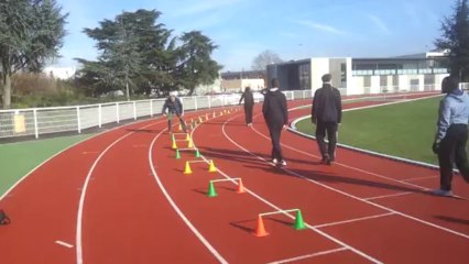 GROUPE SPRINT PLOTS LATTE