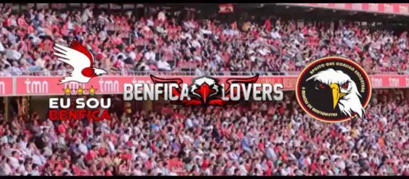 Juntos no apoio ao Benfica