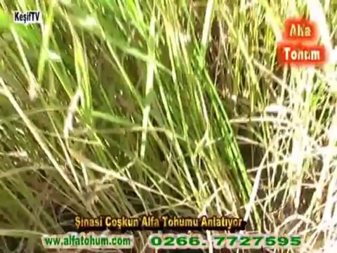 alfatohum-şinasicoşkun-gönen-balıkesir-KeşifDergisi