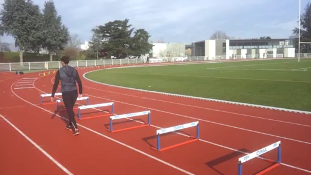 PPS TECHNIQUE COURSE PLOTS LATTE PLUS HAIE