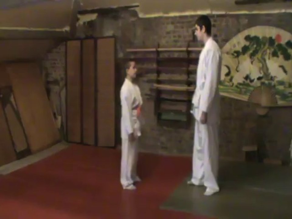 Kata oshi