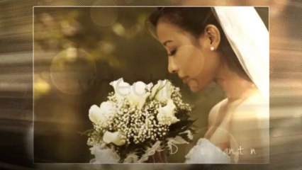 Beauty Shots - After Effects Template