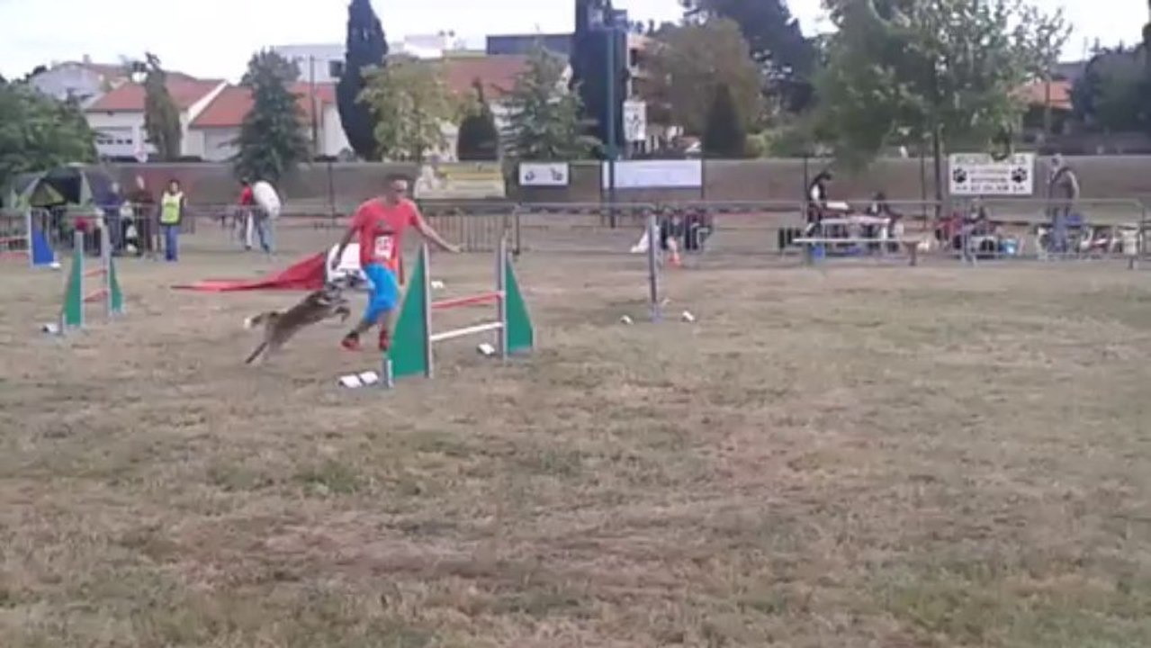 Fever _ Jumping+  _ St Julien de Concelles _ 15 - 09 - 2013