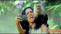 PETA Calls Katy Perry's 'Roar' Music Video Cruel to Animals