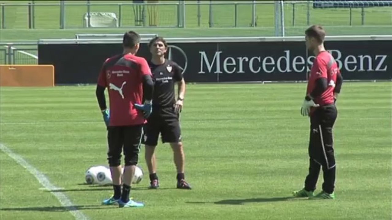 HSV setzt Fink vor die Tür! Kommt Babbel?