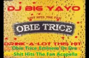 dj big yayo_Obie Trice_Eminem_Dr Dre_Nas-Shit Hits Fan Ruled The World_HD