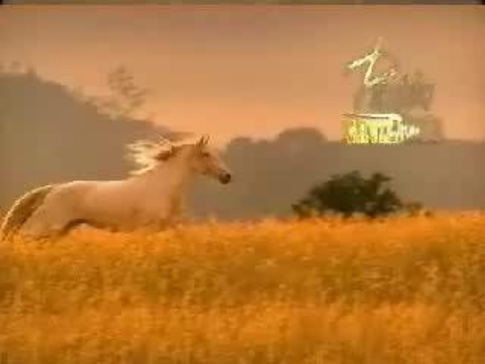 JUAN y NORMA (Ataque Norma e Juan David)