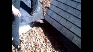 Louisville Home Inspector Shows Roof Debris
