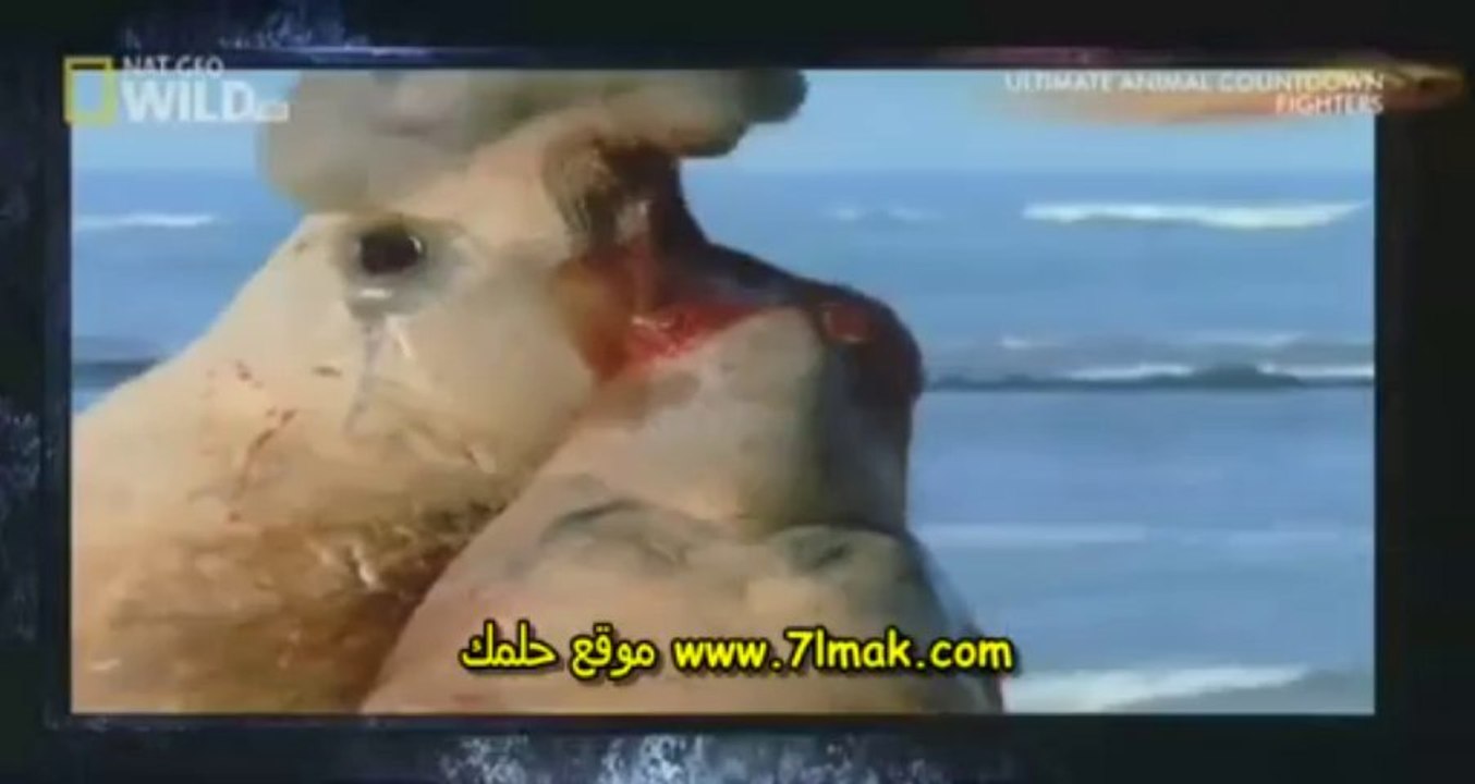 الفيلم الوثائقى المحاربون