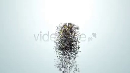 Creation. - After Effects Template