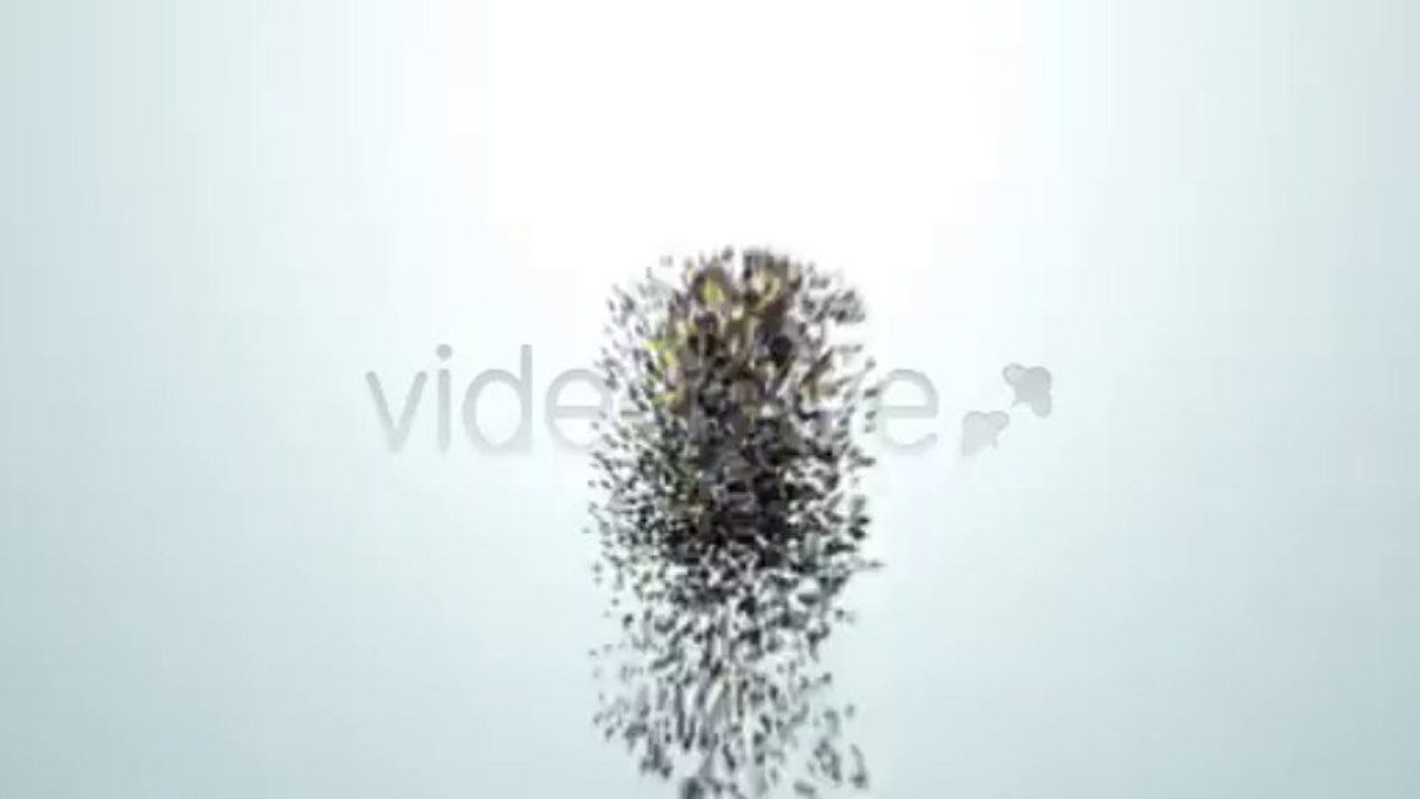 Creation. - After Effects Template