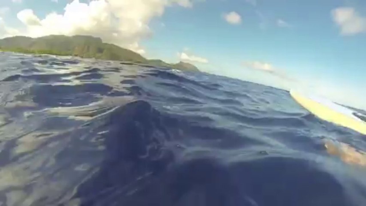 Stand up avec les baleines à Huahine